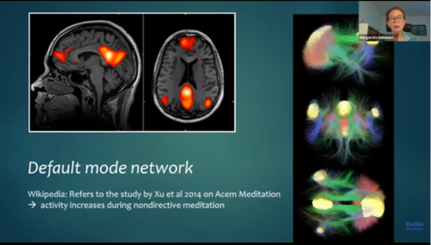 Slide from the webinar on Acem Meditation and spontaneous mind wandering