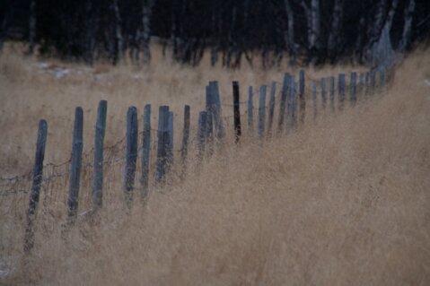 Lunsjprat om stillhet 