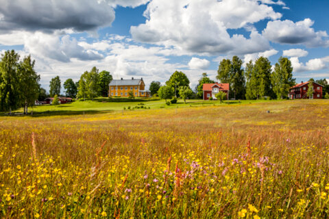 Våre yogasentre