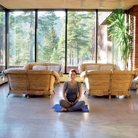 Principles of yoga practice