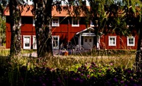 lh hus blomster